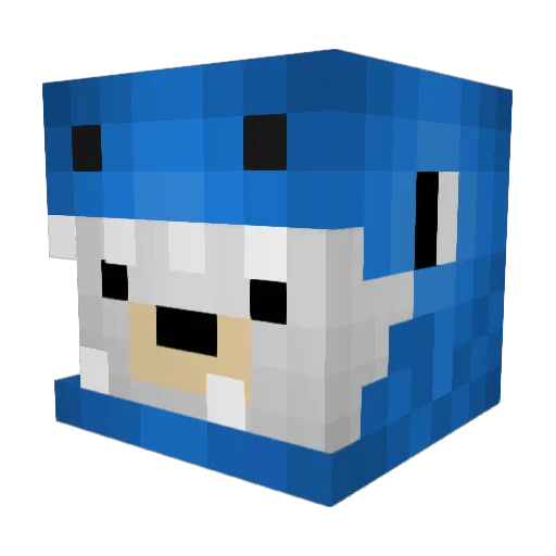 Echelon19 Minecraft avatar head, 3D render