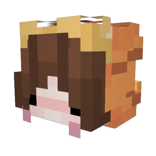 Echiiko Minecraft avatar head, 3D render