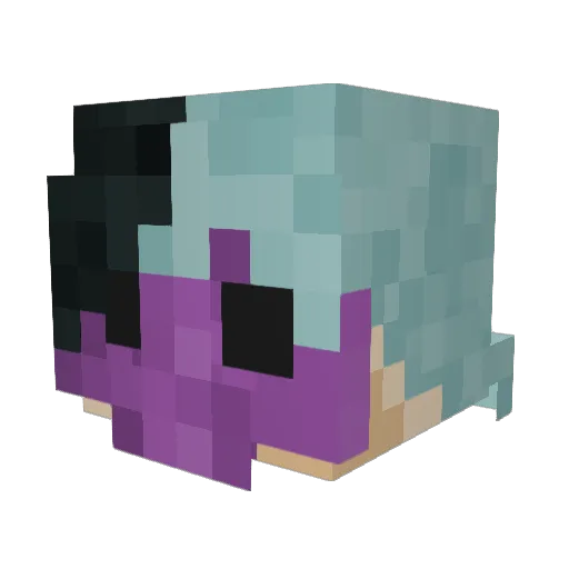 Echnot Minecraft avatar head, 3D render