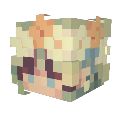 Echo0509 Minecraft avatar head, 3D render