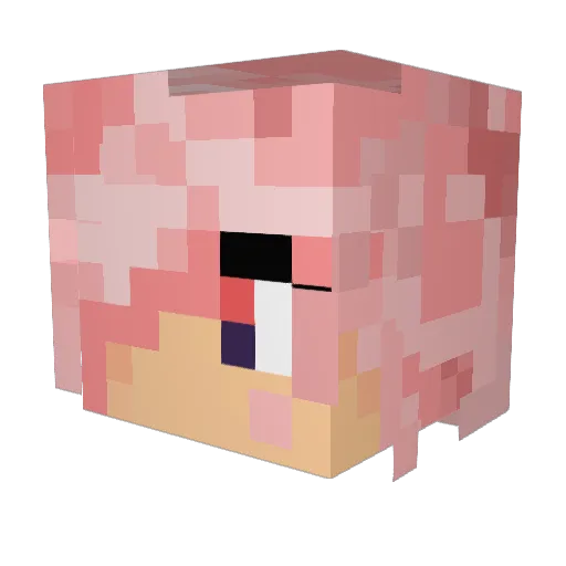 Echo2249 Minecraft avatar head, 3D render