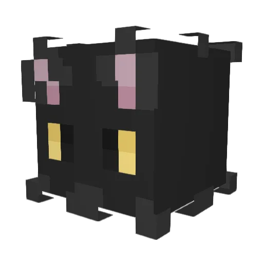 Echo2547554 Minecraft avatar head, 3D render