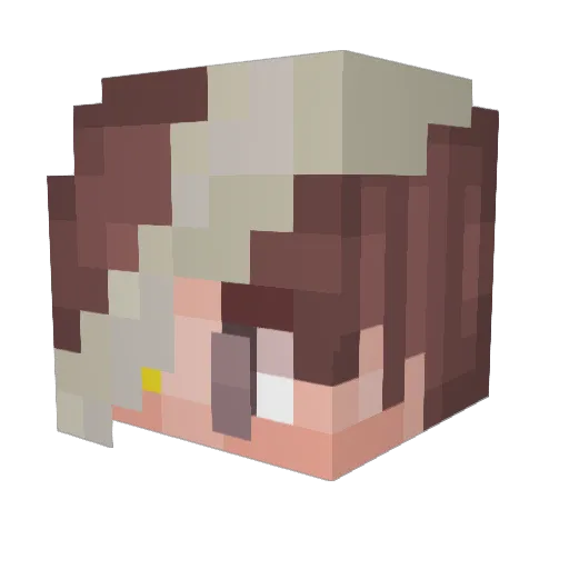 Echo40404 Minecraft avatar head, 3D render