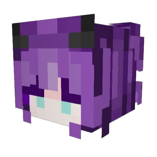 Echo5o1 Minecraft avatar head, 3D render