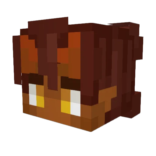 Echo9769 Minecraft avatar head, 3D render