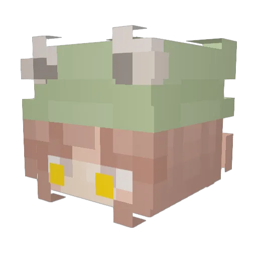 EchoAmaretto Minecraft avatar head, 3D render