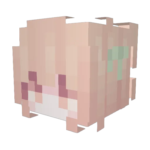 EchoCaptain12 Minecraft avatar head, 3D render