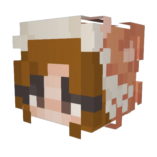 EchoCharlie6 Minecraft avatar head, 3D render