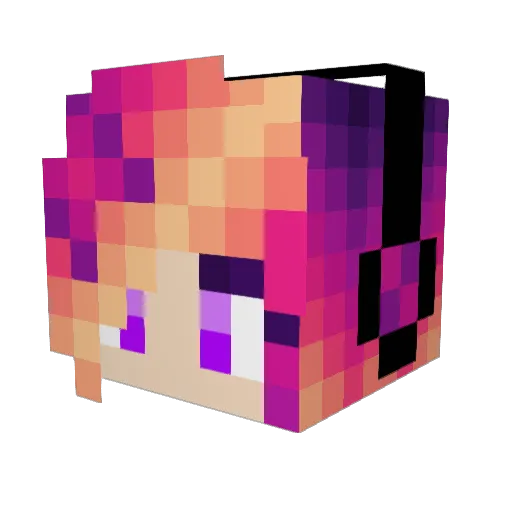 EchoEagle Minecraft avatar head, 3D render