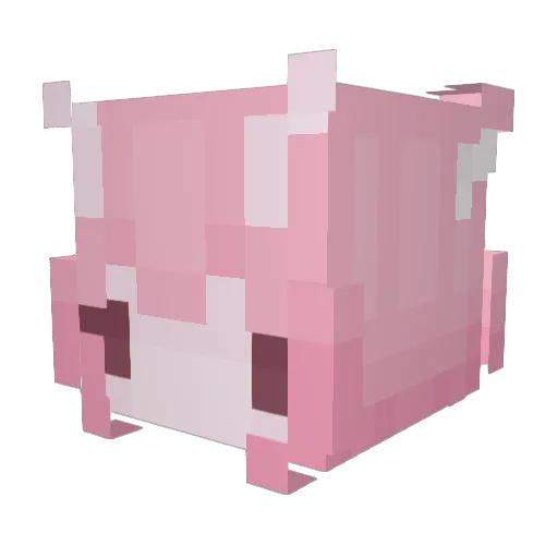 EchoFairyGen Minecraft avatar head, 3D render
