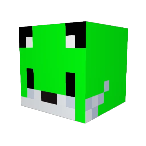 EchoFox3 Minecraft avatar head, 3D render