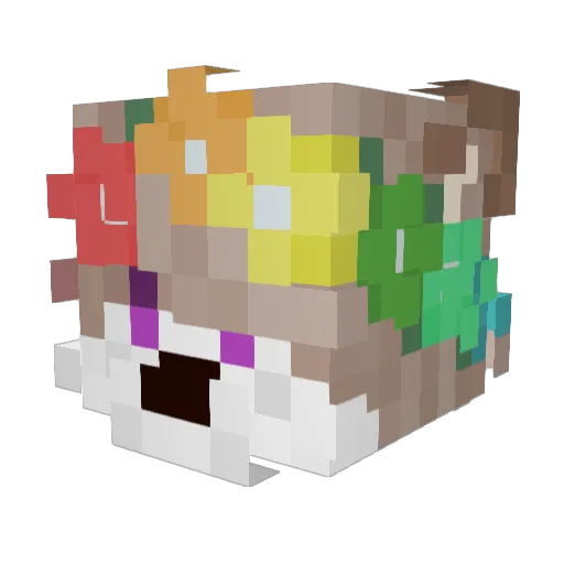 EchoGaming64 Minecraft avatar head, 3D render