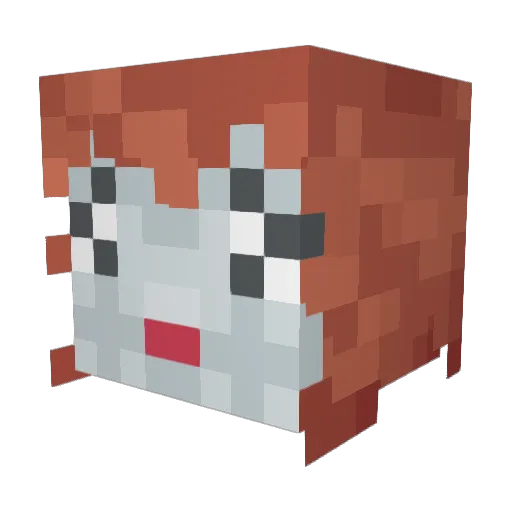 EchoKittle Minecraft avatar head, 3D render