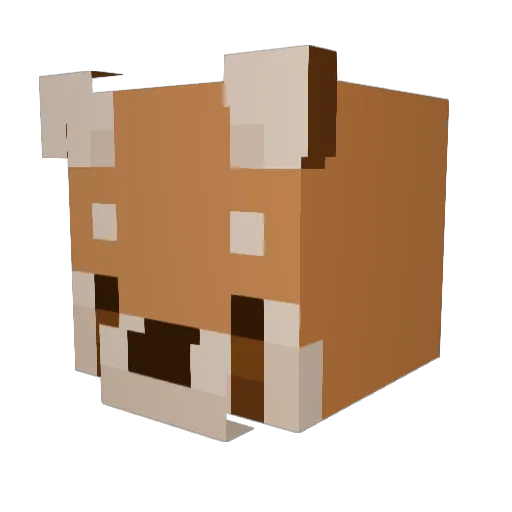 EchoRab Minecraft avatar head, 3D render