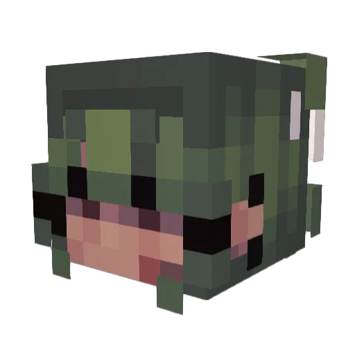 EchoStandard Minecraft avatar head, 3D render