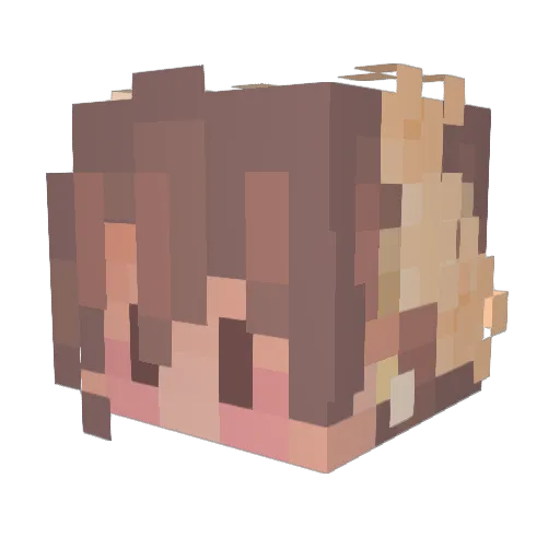 EchoStudios Minecraft avatar head, 3D render