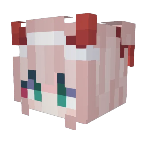 EchoTheGoober Minecraft avatar head, 3D render