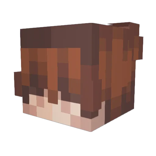 EchoWarloc Minecraft avatar head, 3D render