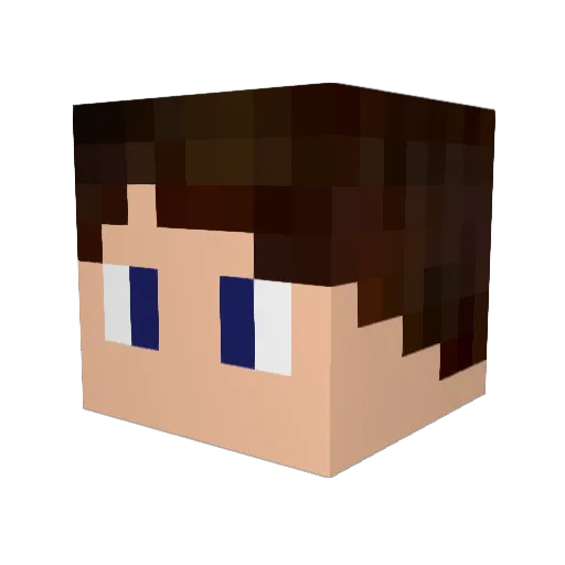 Echo_2 Minecraft avatar head, 3D render