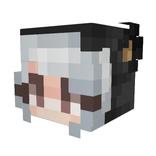 Echo_Gamer09 Minecraft avatar head, 3D render