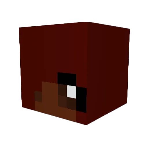 Echo_IMO Minecraft avatar head, 3D render