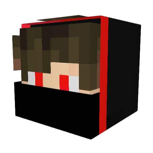 Echo_On_TikTok Minecraft avatar head, 3D render