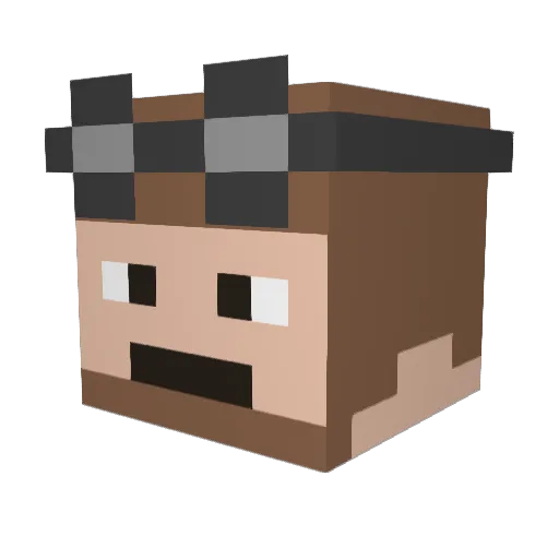 Echo_Seven Minecraft avatar head, 3D render