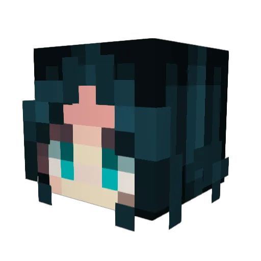 Echo_SmileyFace Minecraft avatar head, 3D render