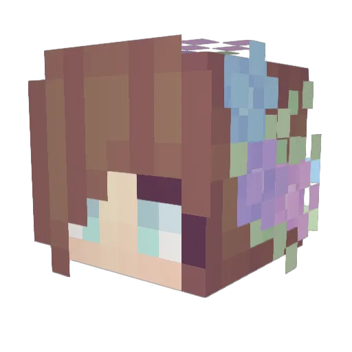 Echo_Ursa Minecraft avatar head, 3D render