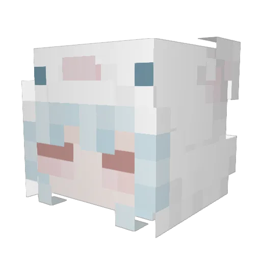 Echo_vo Minecraft avatar head, 3D render