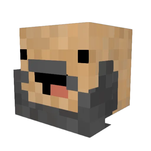 EchoingShift Minecraft avatar head, 3D render