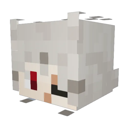 Echolazar Minecraft avatar head, 3D render