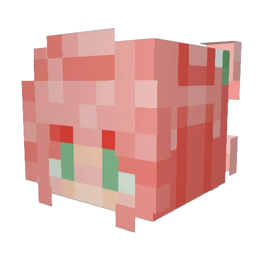 Echosinacave Minecraft avatar head, 3D render