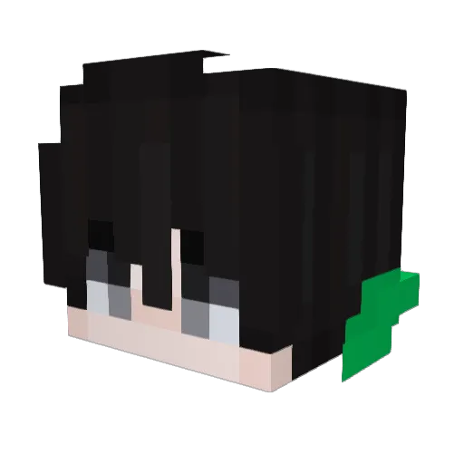 EchowolfYT Minecraft avatar head, 3D render