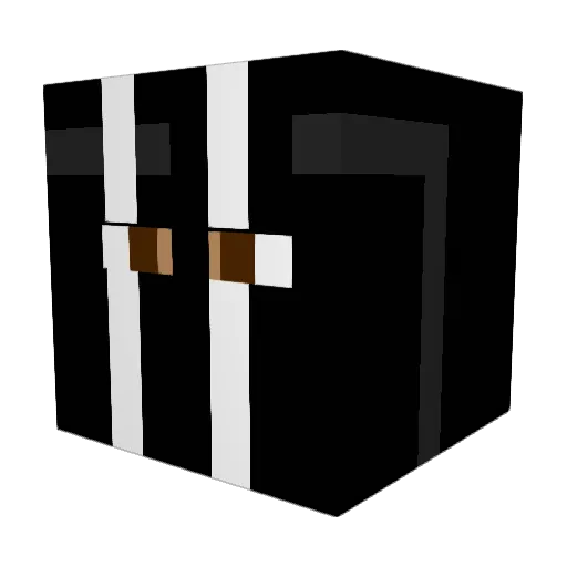 Echoyy Minecraft avatar head, 3D render