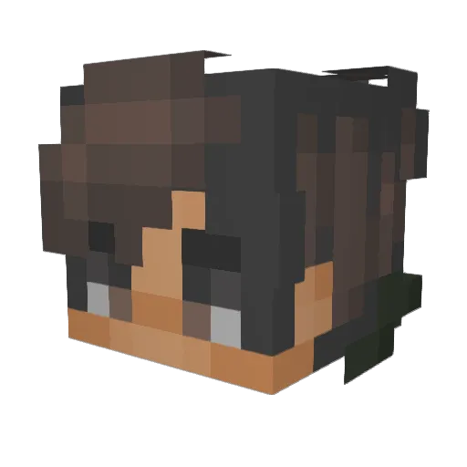 EchtGeldPanza Minecraft avatar head, 3D render