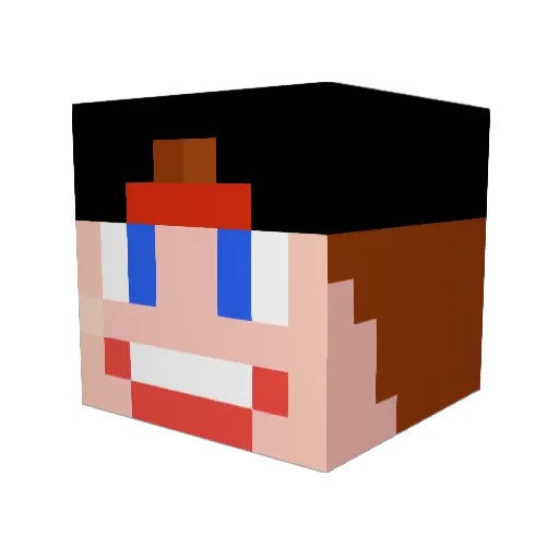 EchteEnzoKnol Minecraft avatar head, 3D render