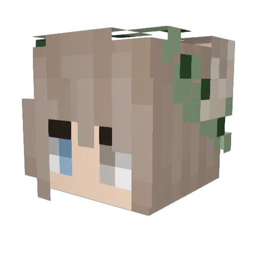 Echu_ Minecraft avatar head, 3D render