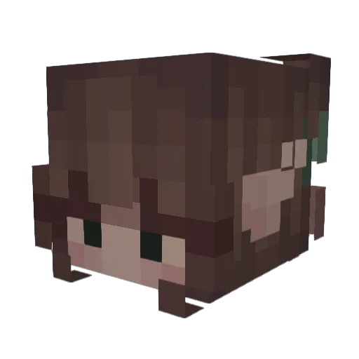 Ecilisty Minecraft avatar head, 3D render