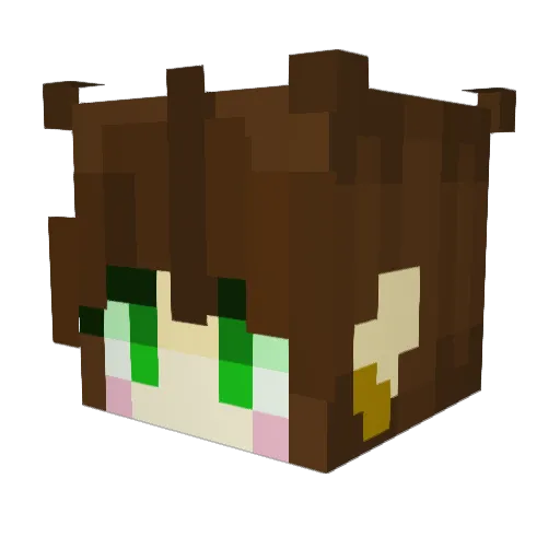 Eck1709 Minecraft avatar head, 3D render