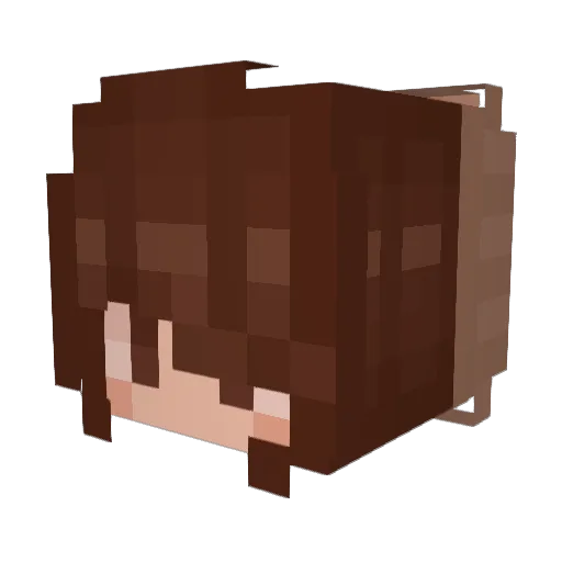 EckoChan Minecraft avatar head, 3D render