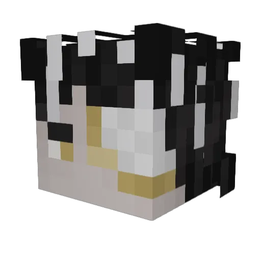EclairVA Minecraft avatar head, 3D render