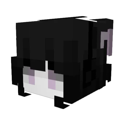 Ecli_X_pse Minecraft avatar head, 3D render