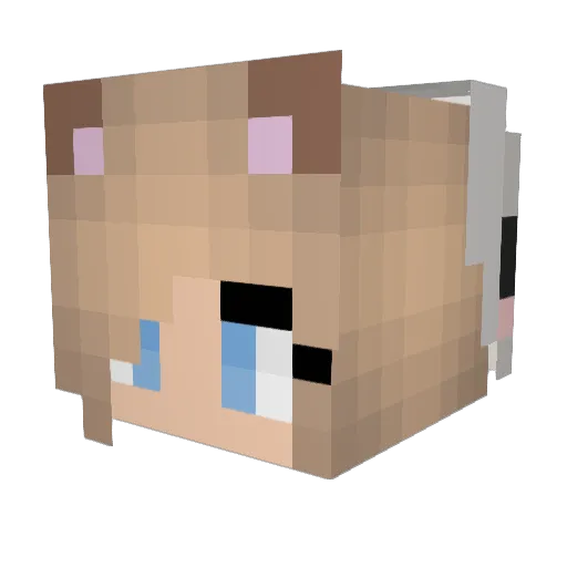 Eclipse1207 Minecraft avatar head, 3D render