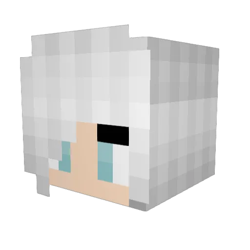 Eclipse1314 Minecraft avatar head, 3D render