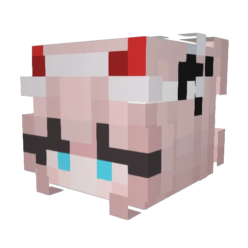 Eclipse3876 Minecraft avatar head, 3D render