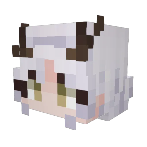 EclipseVoidPLZ Minecraft avatar head, 3D render