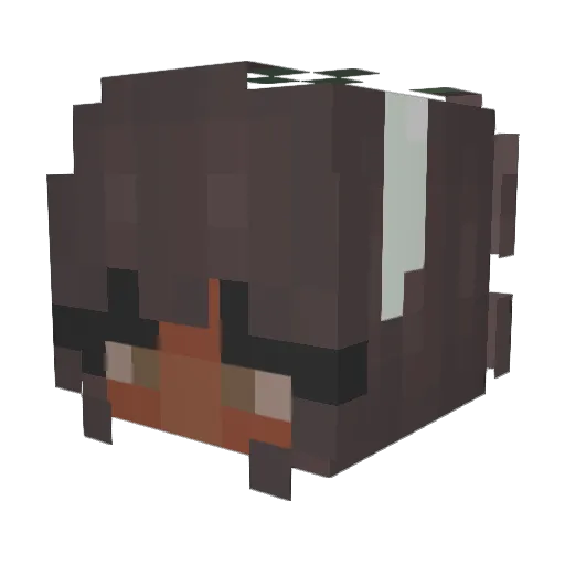 Eclipse_203 Minecraft avatar head, 3D render