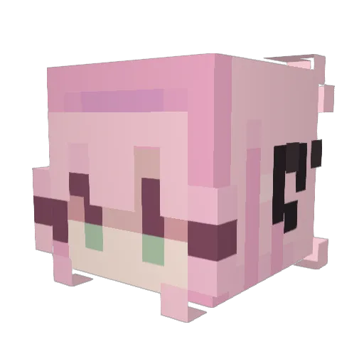 Eclipse_Puppy Minecraft avatar head, 3D render