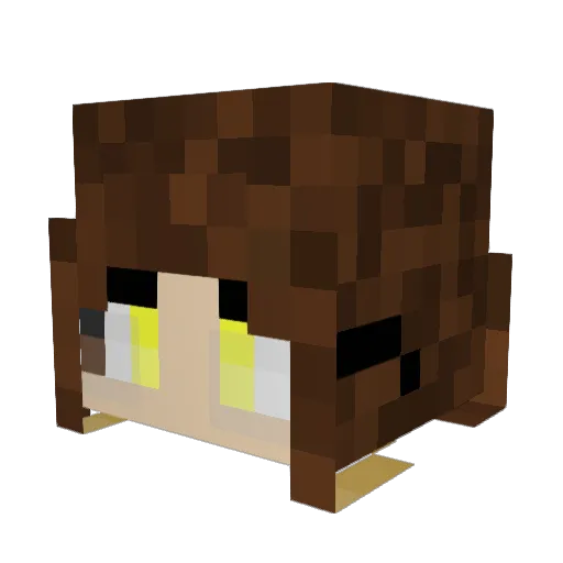 Eclipsion14 Minecraft avatar head, 3D render